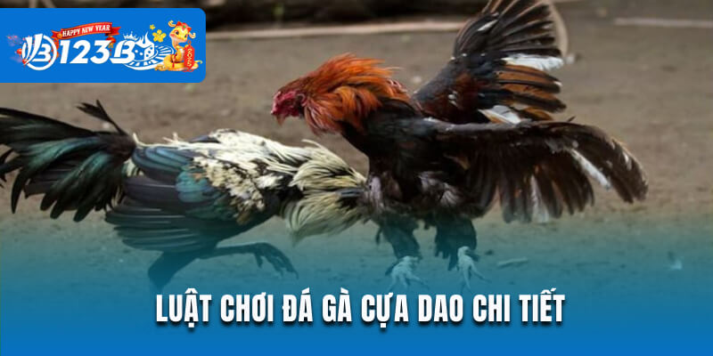 Luật chọi gà cựa dao chi tiết